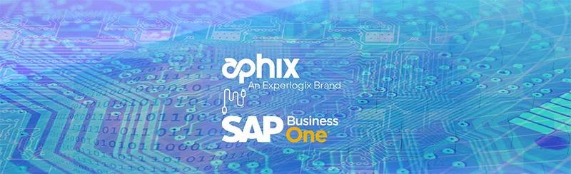 B2B Digital Commerce and SAP Business One, Empowering Growth