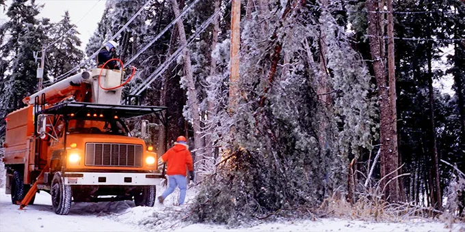 When Every Quote Is a Custom Build in Utility Vegetation Management